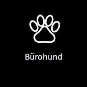 Bürohund